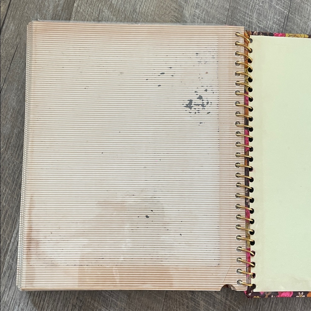 •| vintage photo album - Picture 11 of 12